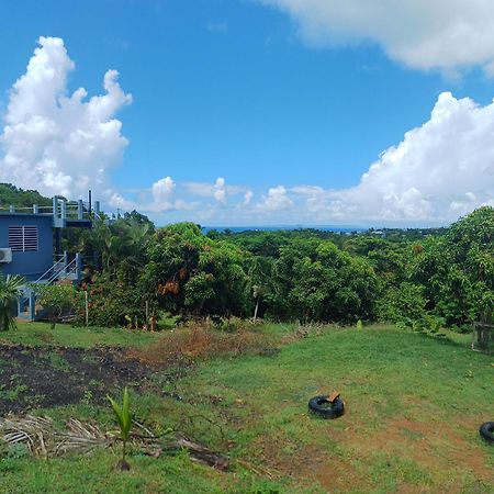 Rooster Run Glamping Camping Has Rooftop And Off The Ground Glamping Experience For 1 To 16 In A Single Tent And Views Of The Rain Forrest And To Culebra Across The Atlantic Ocean W Tents, Linens, Deluxe Air Beds, Warm Shower And More At A Great Pric Vieques Kültér fotó