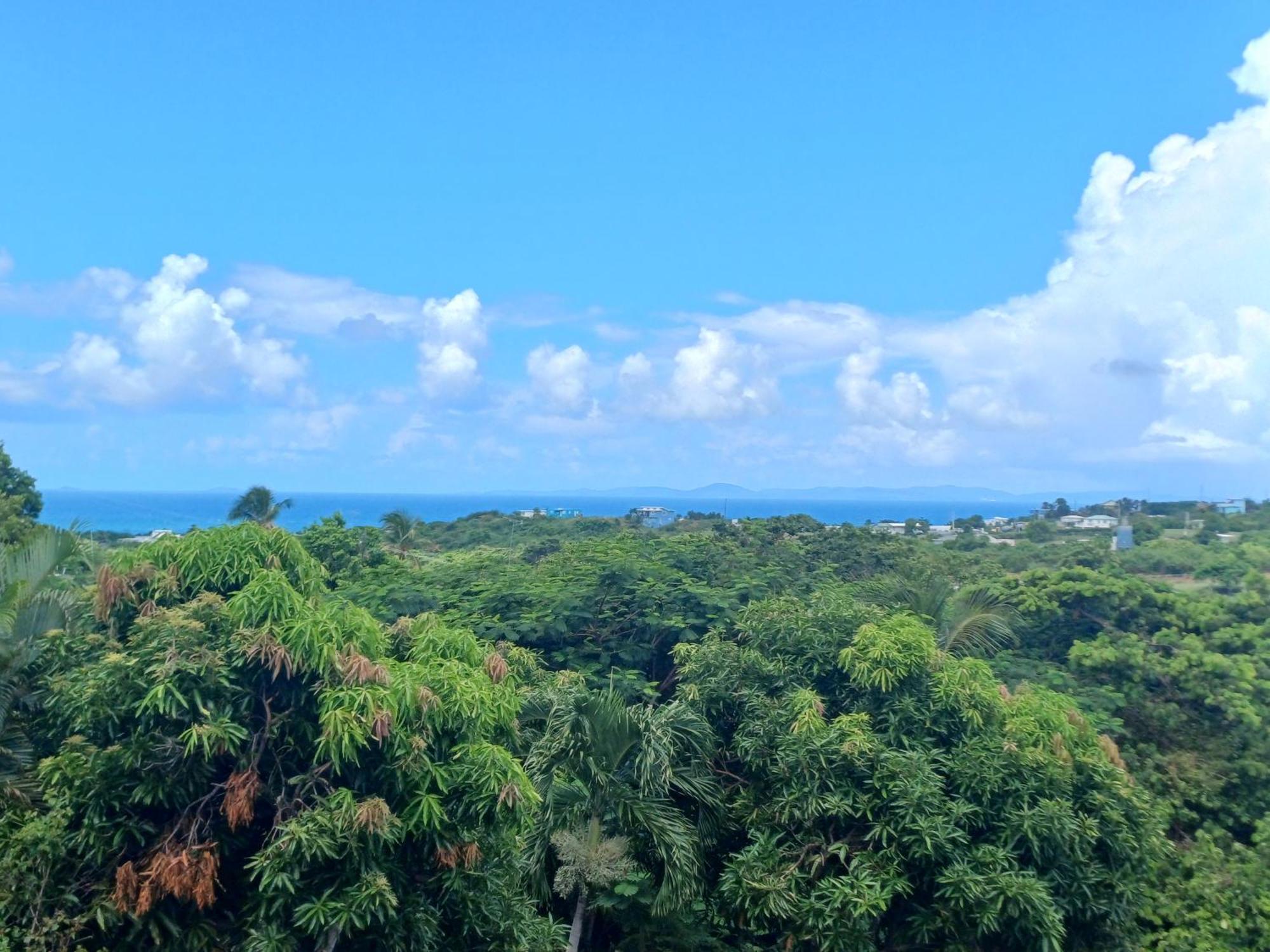 Rooster Run Glamping Camping Has Rooftop And Off The Ground Glamping Experience For 1 To 16 In A Single Tent And Views Of The Rain Forrest And To Culebra Across The Atlantic Ocean W Tents, Linens, Deluxe Air Beds, Warm Shower And More At A Great Pric Vieques Kültér fotó