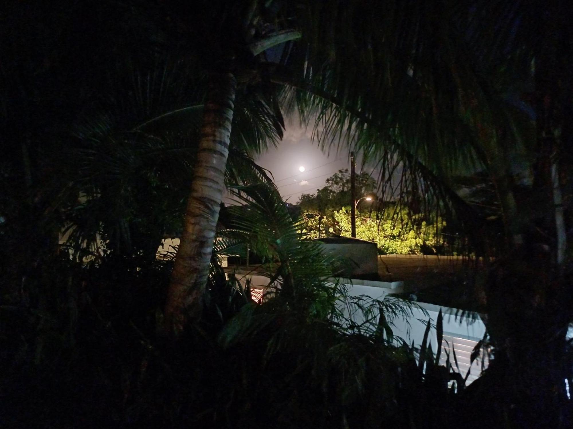 Rooster Run Glamping Camping Has Rooftop And Off The Ground Glamping Experience For 1 To 16 In A Single Tent And Views Of The Rain Forrest And To Culebra Across The Atlantic Ocean W Tents, Linens, Deluxe Air Beds, Warm Shower And More At A Great Pric Vieques Kültér fotó