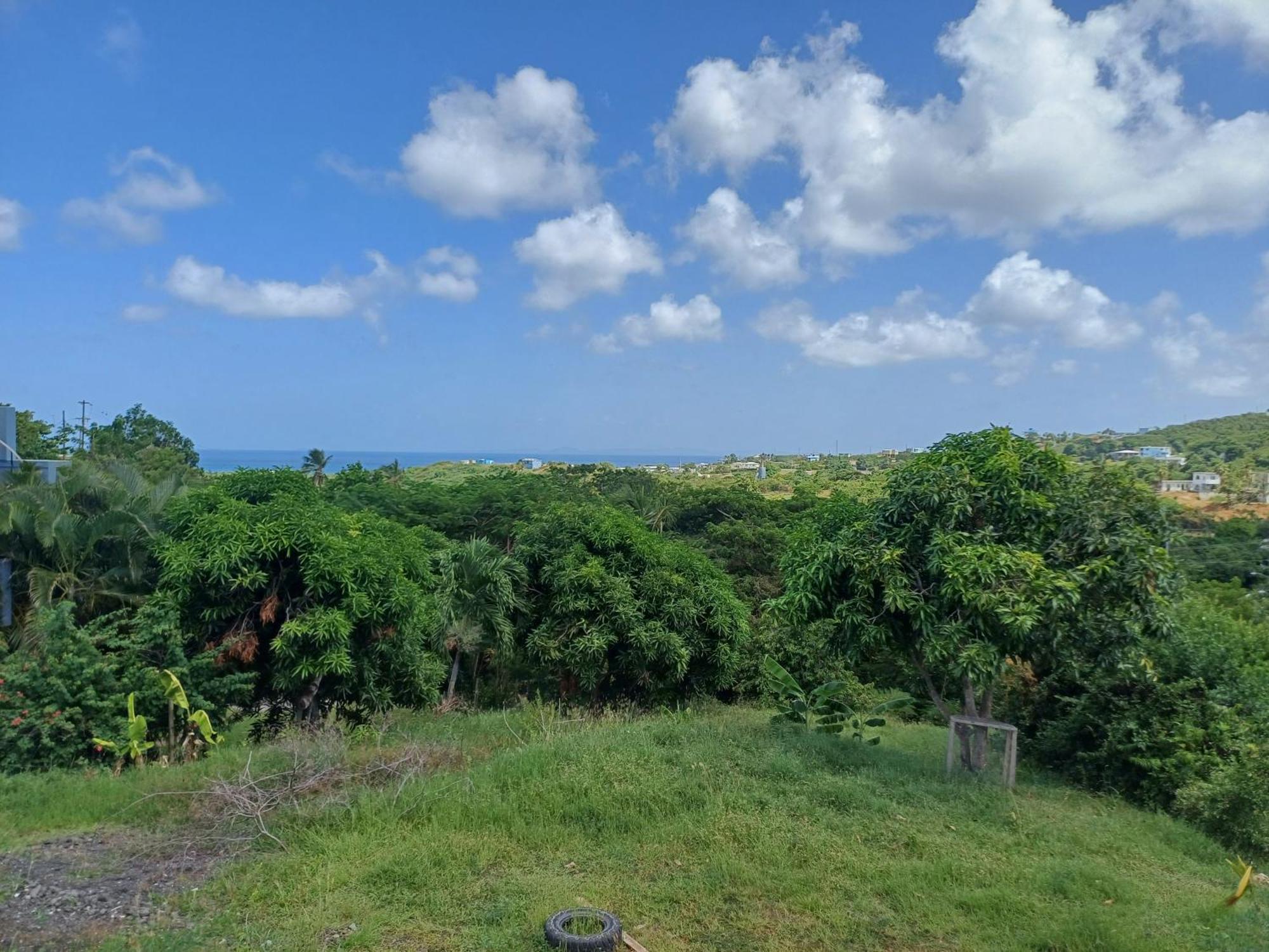 Rooster Run Glamping Camping Has Rooftop And Off The Ground Glamping Experience For 1 To 16 In A Single Tent And Views Of The Rain Forrest And To Culebra Across The Atlantic Ocean W Tents, Linens, Deluxe Air Beds, Warm Shower And More At A Great Pric Vieques Kültér fotó