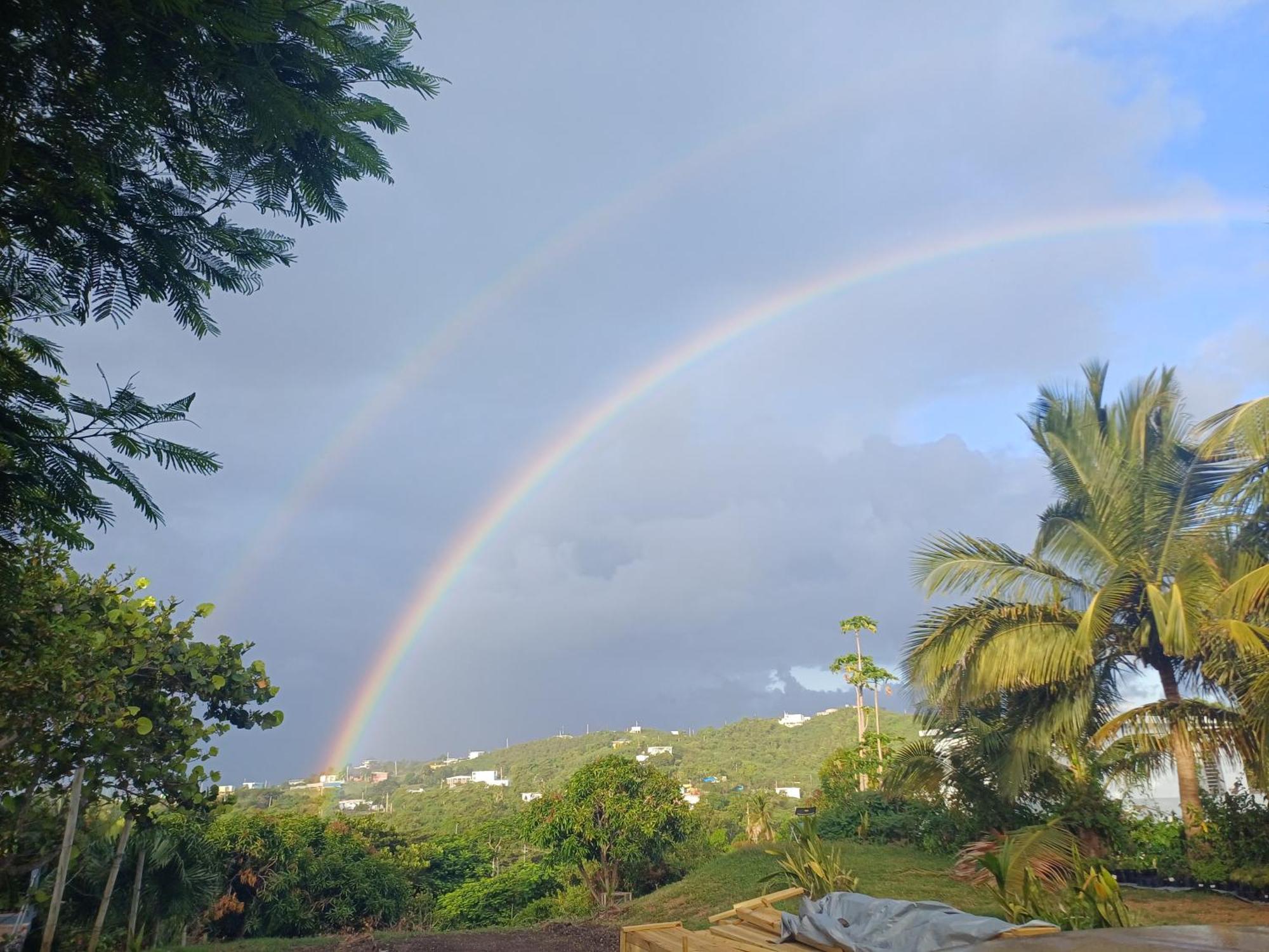 Rooster Run Glamping Camping Has Rooftop And Off The Ground Glamping Experience For 1 To 16 In A Single Tent And Views Of The Rain Forrest And To Culebra Across The Atlantic Ocean W Tents, Linens, Deluxe Air Beds, Warm Shower And More At A Great Pric Vieques Kültér fotó