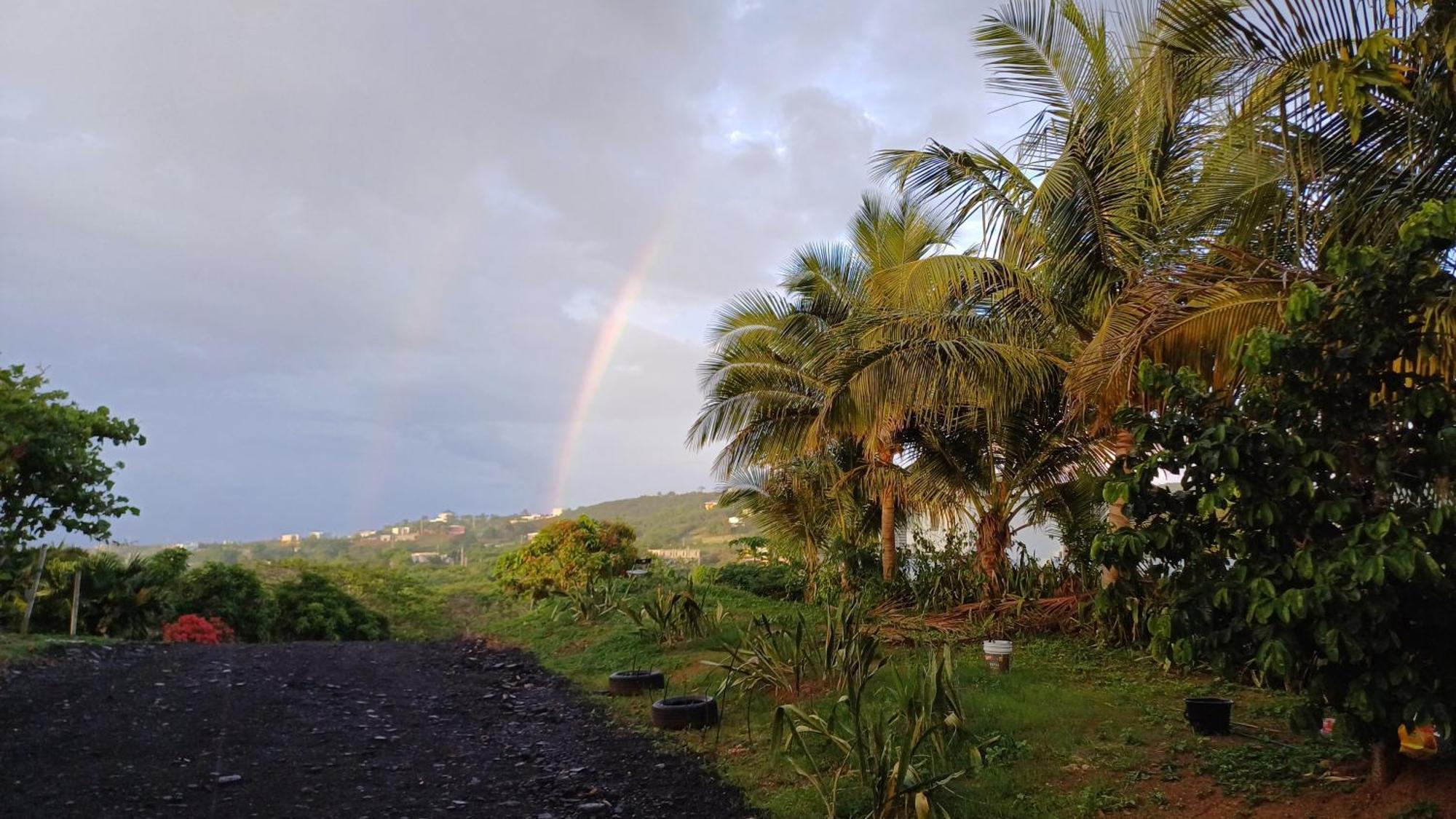 Rooster Run Glamping Camping Has Rooftop And Off The Ground Glamping Experience For 1 To 16 In A Single Tent And Views Of The Rain Forrest And To Culebra Across The Atlantic Ocean W Tents, Linens, Deluxe Air Beds, Warm Shower And More At A Great Pric Vieques Kültér fotó