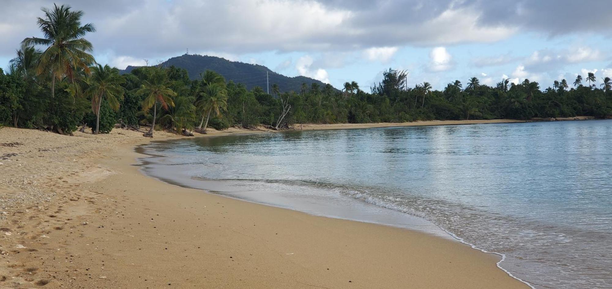Rooster Run Glamping Camping Has Rooftop And Off The Ground Glamping Experience For 1 To 16 In A Single Tent And Views Of The Rain Forrest And To Culebra Across The Atlantic Ocean W Tents, Linens, Deluxe Air Beds, Warm Shower And More At A Great Pric Vieques Kültér fotó