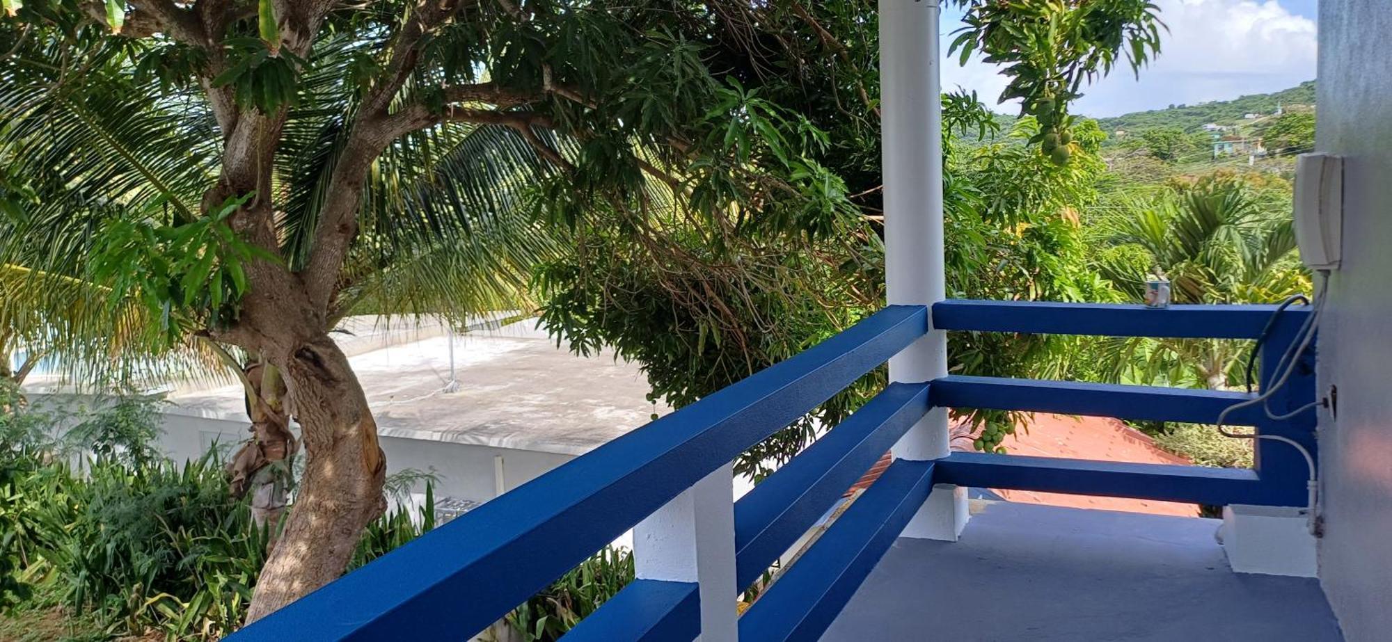 Rooster Run Glamping Camping Has Rooftop And Off The Ground Glamping Experience For 1 To 16 In A Single Tent And Views Of The Rain Forrest And To Culebra Across The Atlantic Ocean W Tents, Linens, Deluxe Air Beds, Warm Shower And More At A Great Pric Vieques Kültér fotó