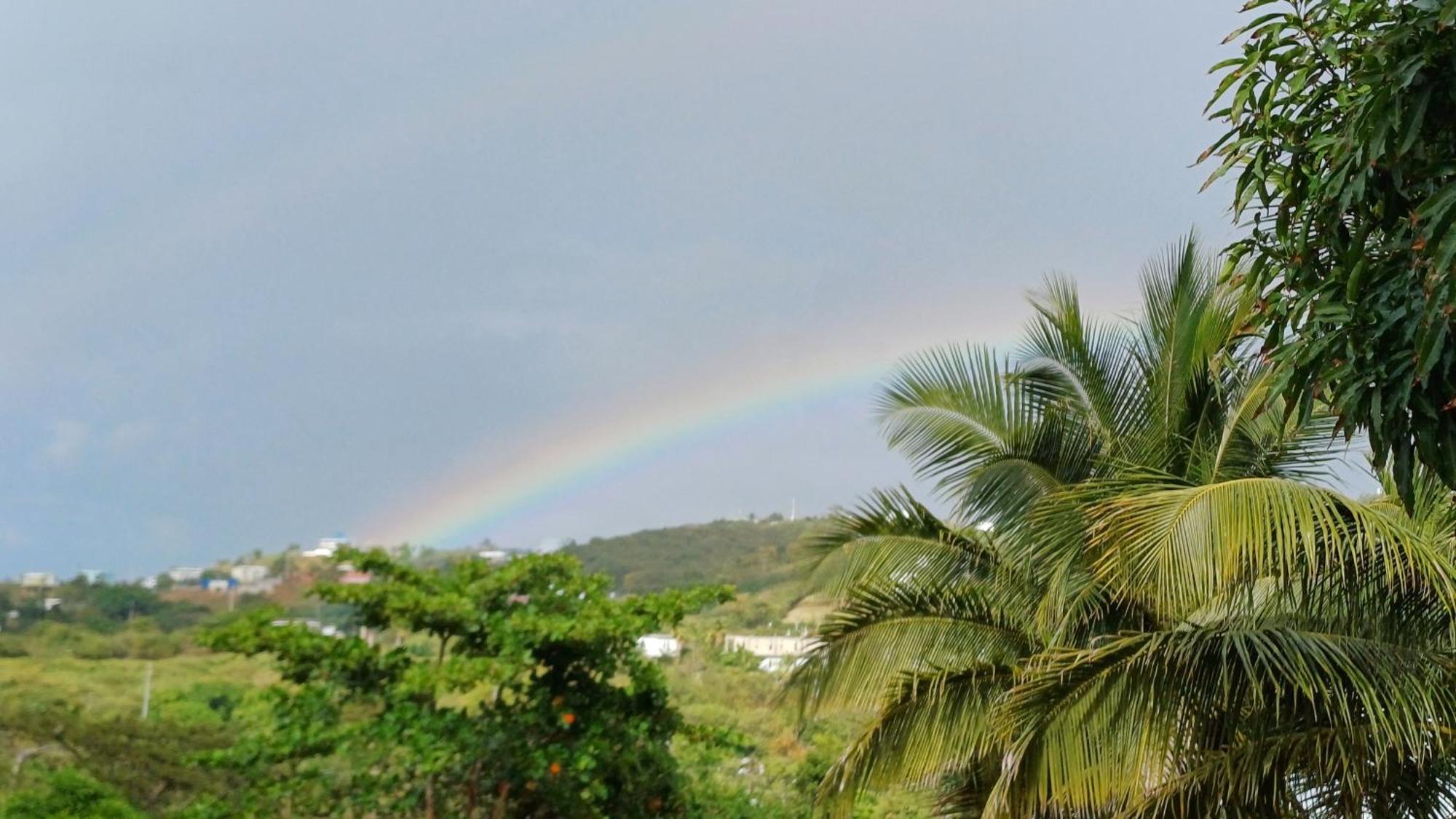 Rooster Run Glamping Camping Has Rooftop And Off The Ground Glamping Experience For 1 To 16 In A Single Tent And Views Of The Rain Forrest And To Culebra Across The Atlantic Ocean W Tents, Linens, Deluxe Air Beds, Warm Shower And More At A Great Pric Vieques Kültér fotó