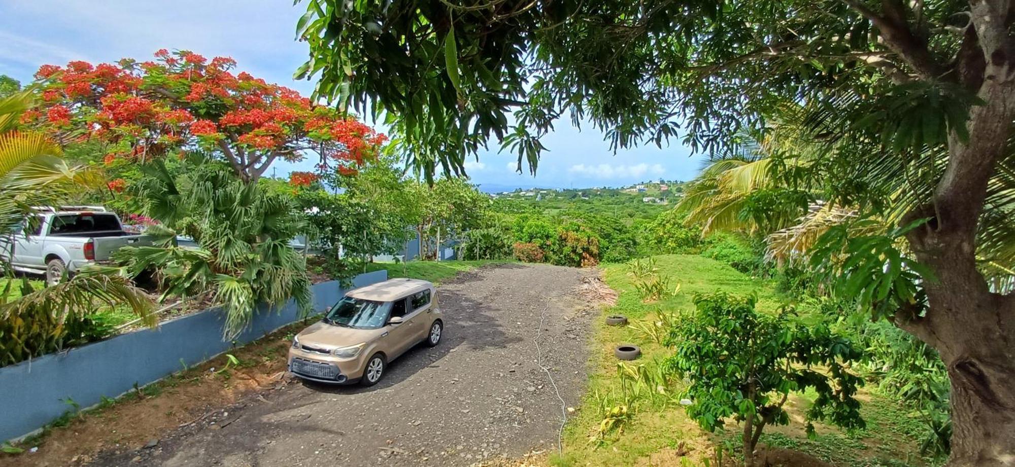 Rooster Run Glamping Camping Has Rooftop And Off The Ground Glamping Experience For 1 To 16 In A Single Tent And Views Of The Rain Forrest And To Culebra Across The Atlantic Ocean W Tents, Linens, Deluxe Air Beds, Warm Shower And More At A Great Pric Vieques Kültér fotó