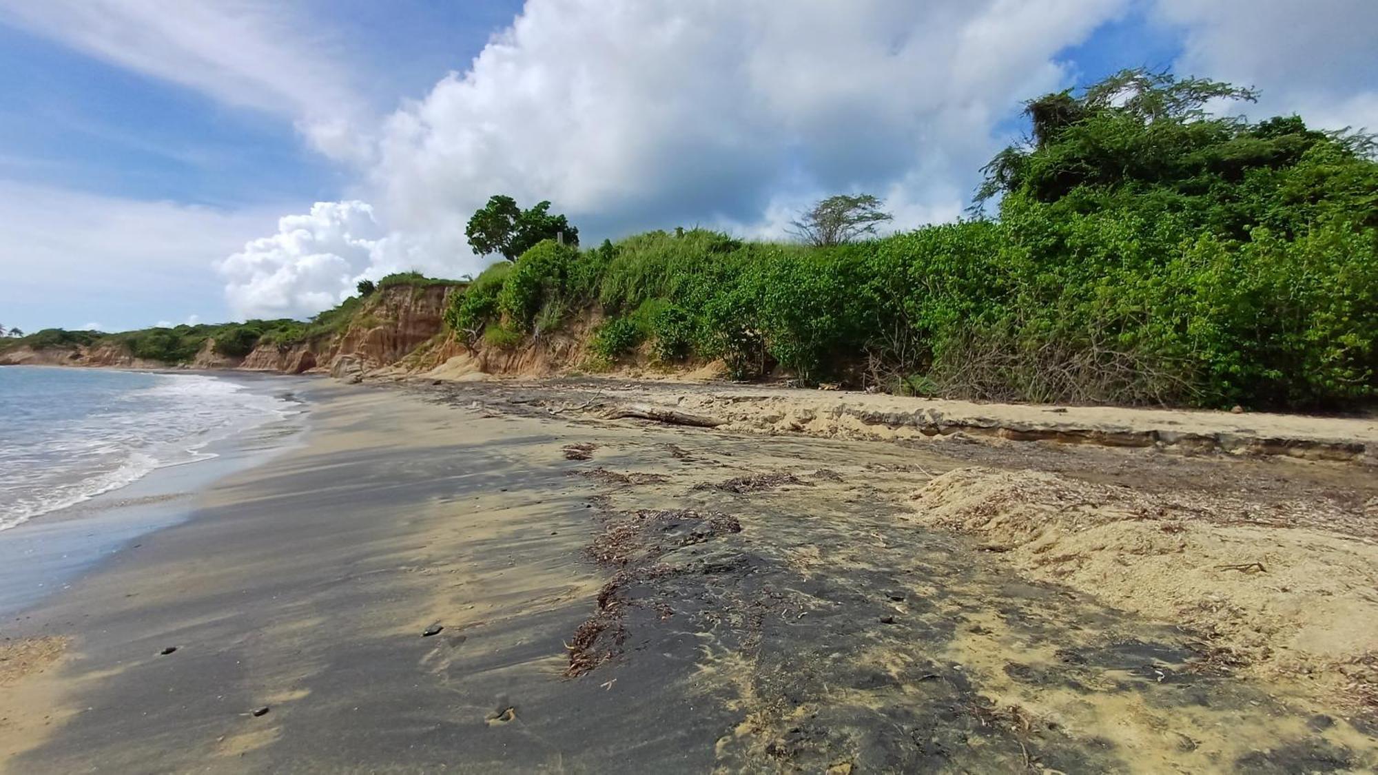 Rooster Run Glamping Camping Has Rooftop And Off The Ground Glamping Experience For 1 To 16 In A Single Tent And Views Of The Rain Forrest And To Culebra Across The Atlantic Ocean W Tents, Linens, Deluxe Air Beds, Warm Shower And More At A Great Pric Vieques Kültér fotó