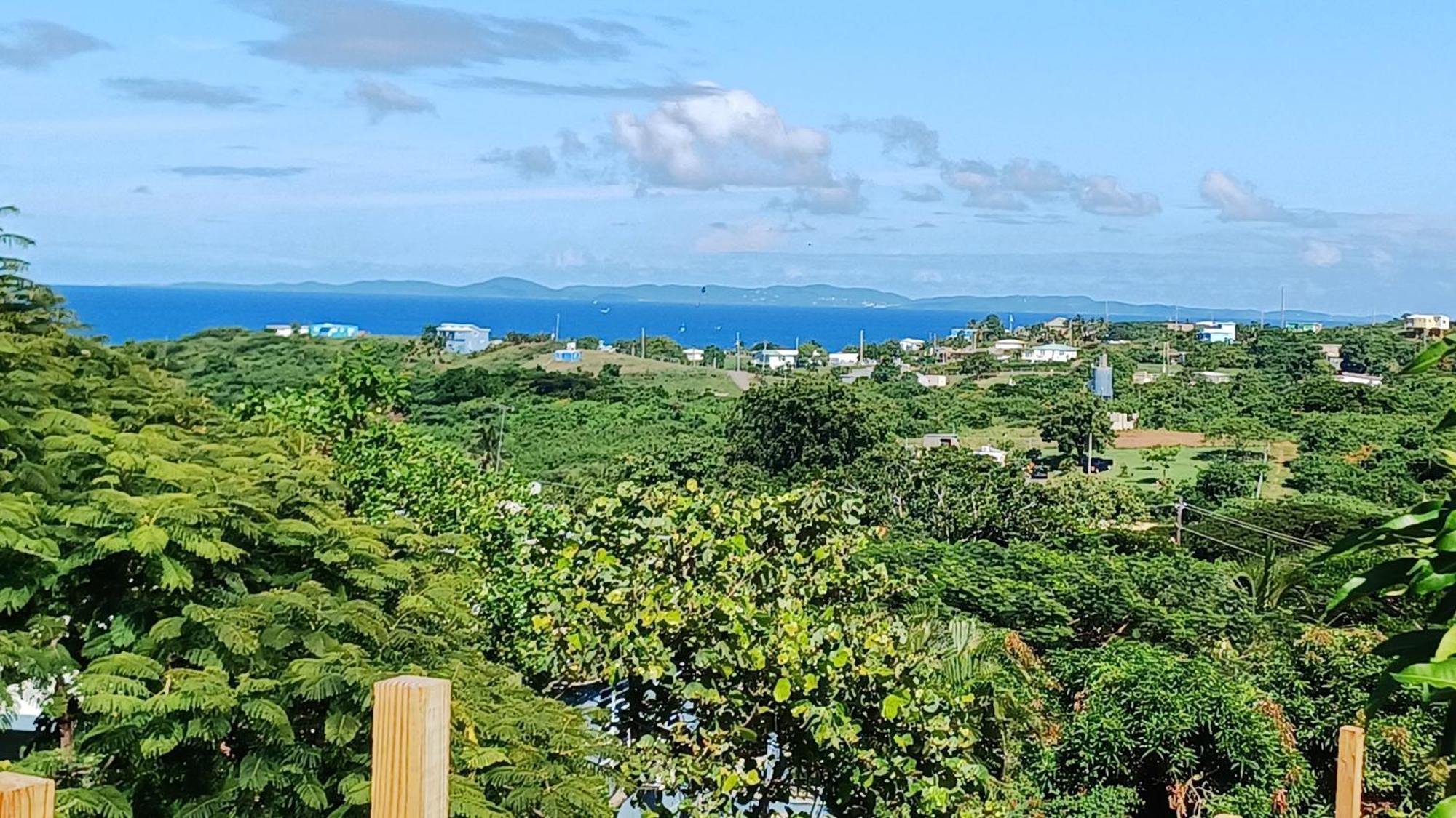 Rooster Run Glamping Camping Has Rooftop And Off The Ground Glamping Experience For 1 To 16 In A Single Tent And Views Of The Rain Forrest And To Culebra Across The Atlantic Ocean W Tents, Linens, Deluxe Air Beds, Warm Shower And More At A Great Pric Vieques Kültér fotó